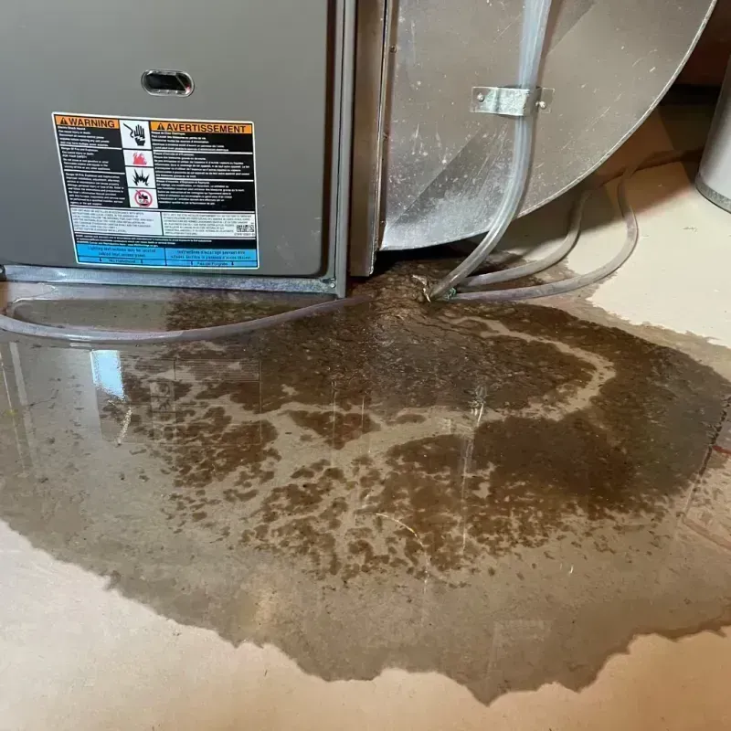 Appliance Leak Cleanup in Townsend, DE